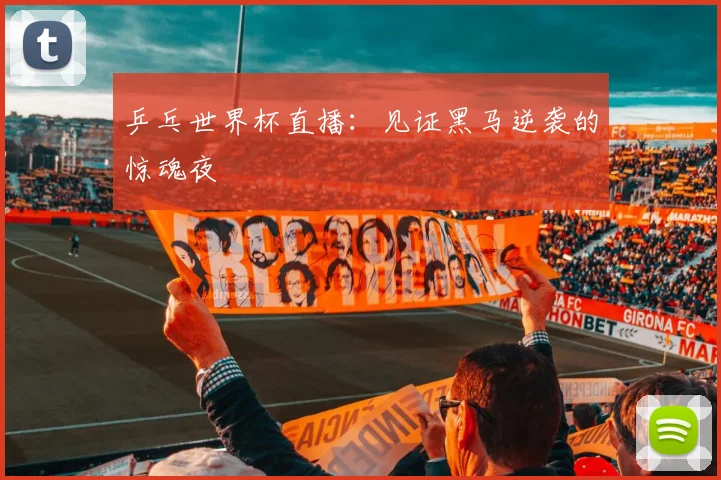 乒乓世界杯直播：见证黑马逆袭的惊魂夜