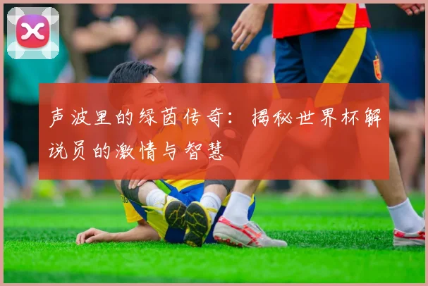 声波里的绿茵传奇：揭秘世界杯解说员的激情与智慧