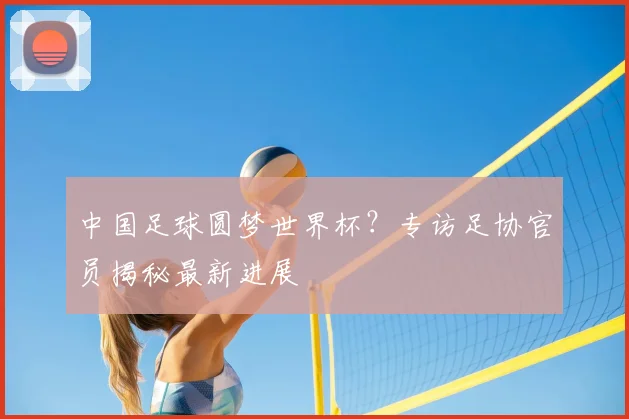 中国足球圆梦世界杯?专访足协官员揭秘最新进展