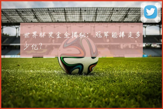 世界杯奖金全揭秘:冠军能捧走多少亿?