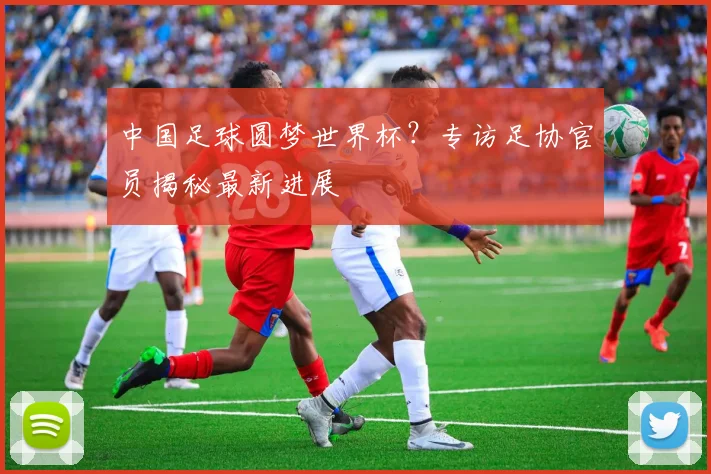 中国足球圆梦世界杯?专访足协官员揭秘最新进展