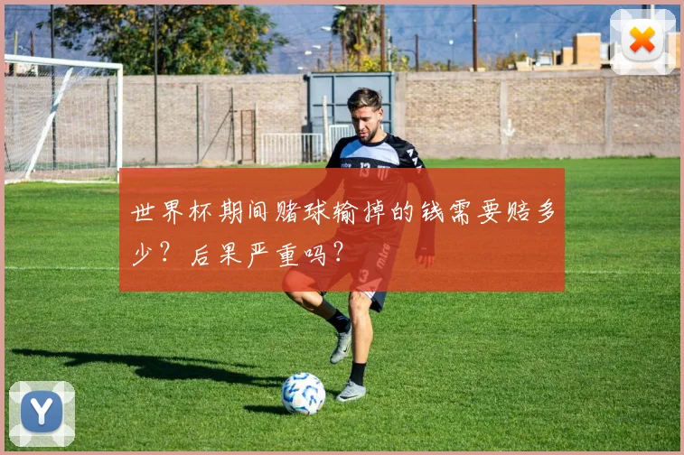世界杯期间赌球输掉的钱需要赔多少？后果严重吗？